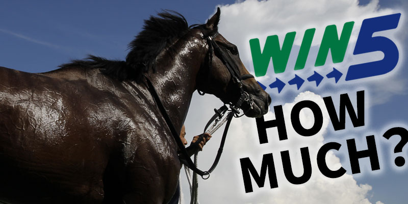 今週のwin5 払戻金はいくら 優馬プレミアム 今週のwin5 払戻金はいくら 優馬プレミアム